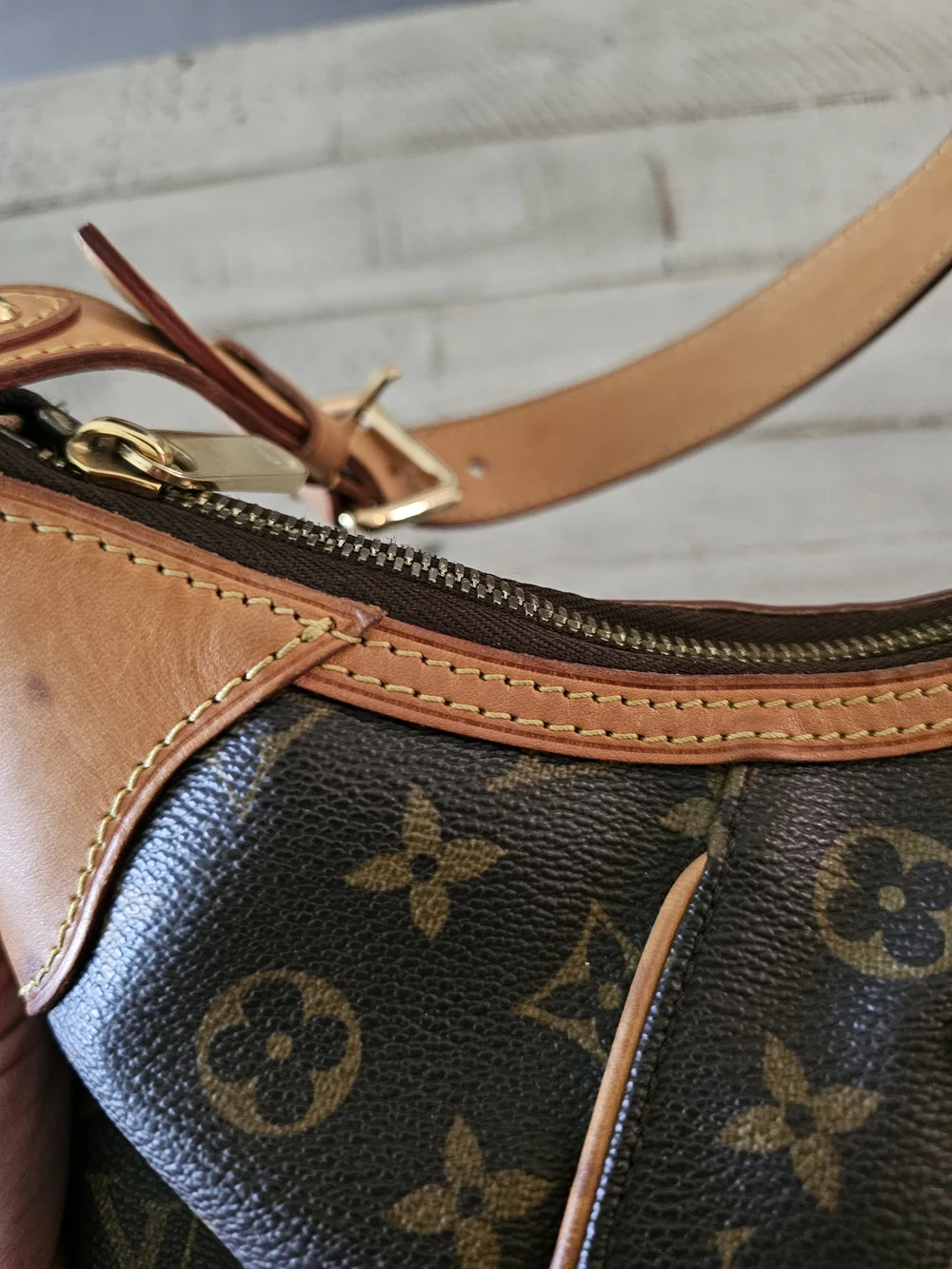 Louis Vuitton Thames GM Brown Monogram Canvas Hobo Bag